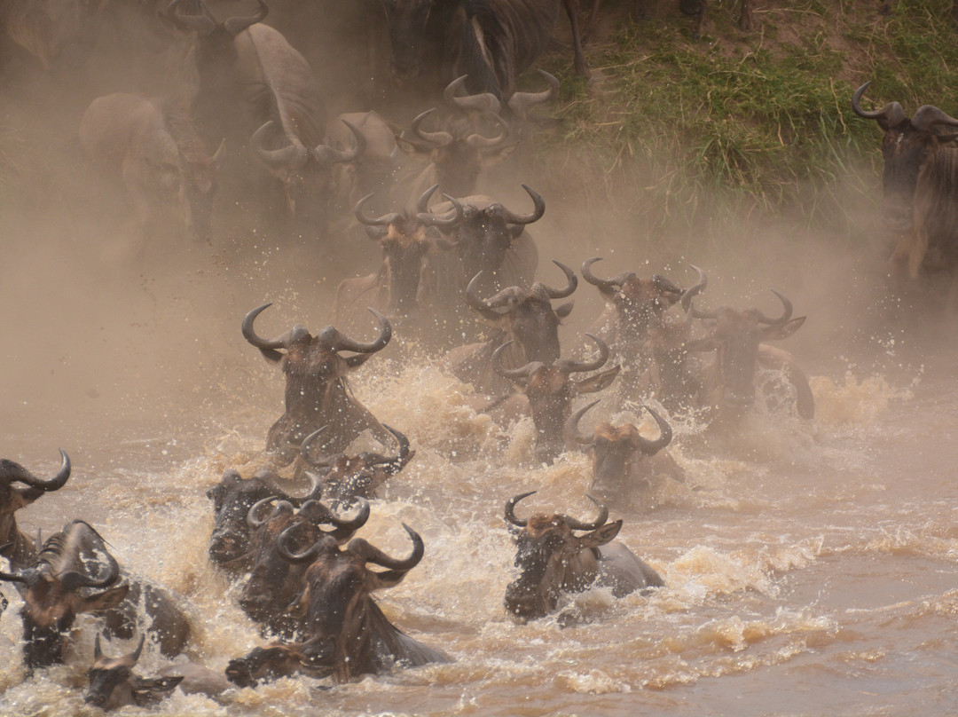 McKay Photography Academy-El Dorado Hills必去景点