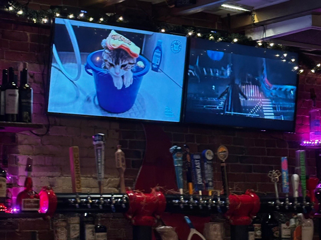 Burano's Wood-Fired Pizzeria of Hallowell