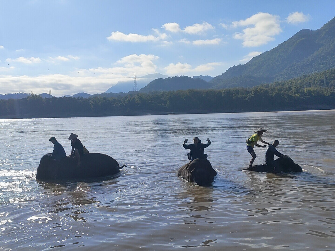 Manifa Elephant Camp-Sang Ha必去景点