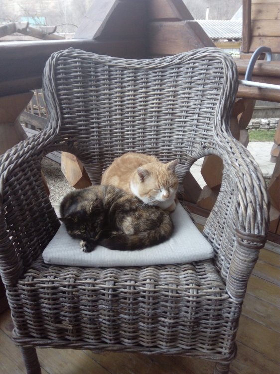 Terem u Reki-酒店景观