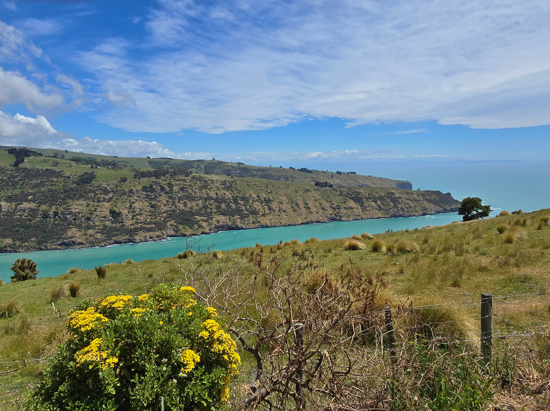 Akaroa's Eastern Bays Scenic Mail Run-阿卡罗阿必去景点