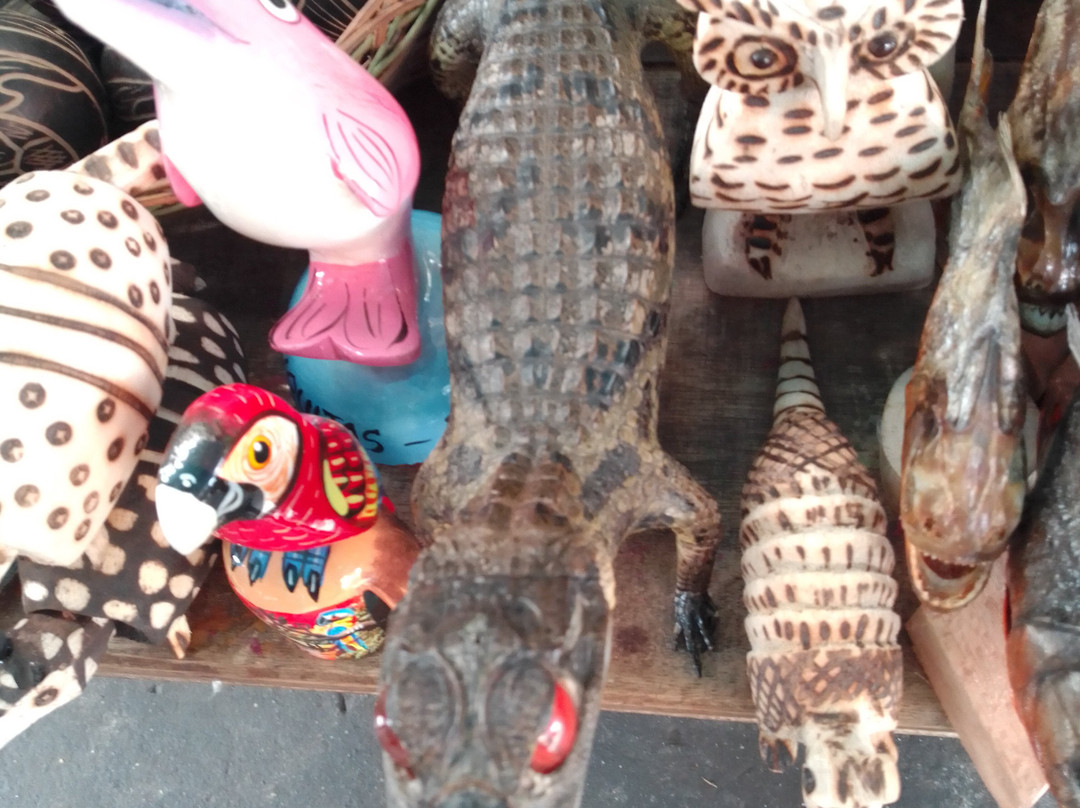 Belen-伊基托斯必去景点