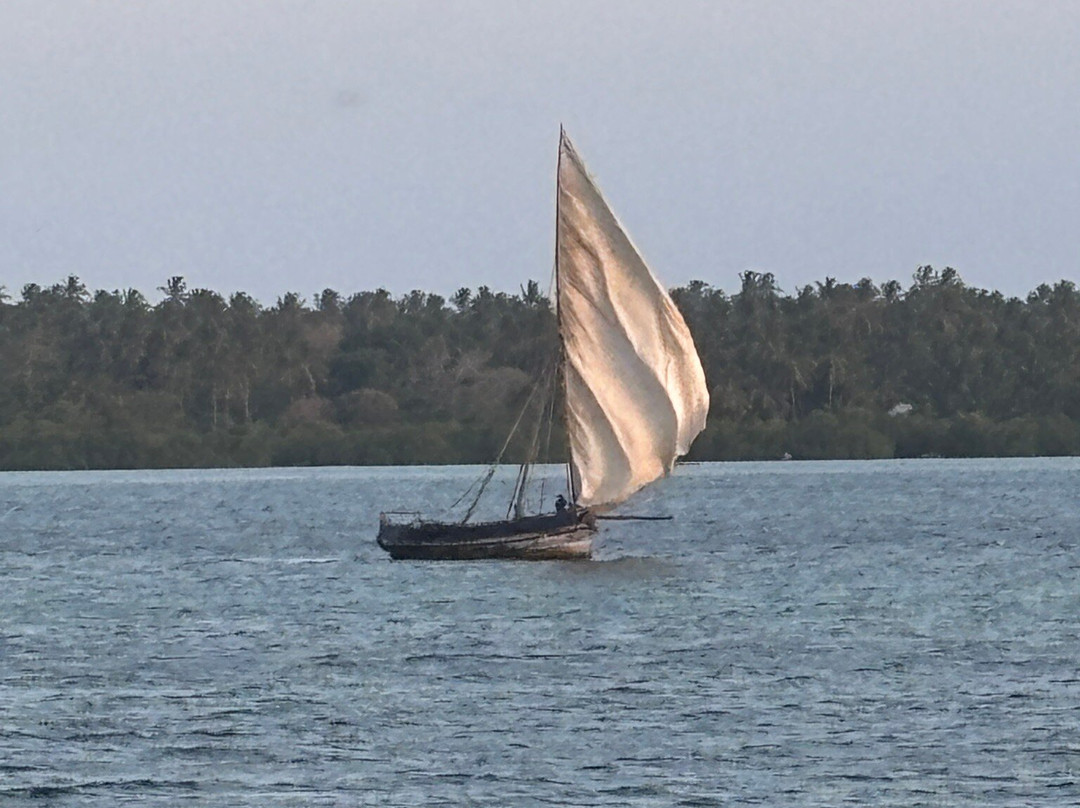 Pole Pole Bungalows主图