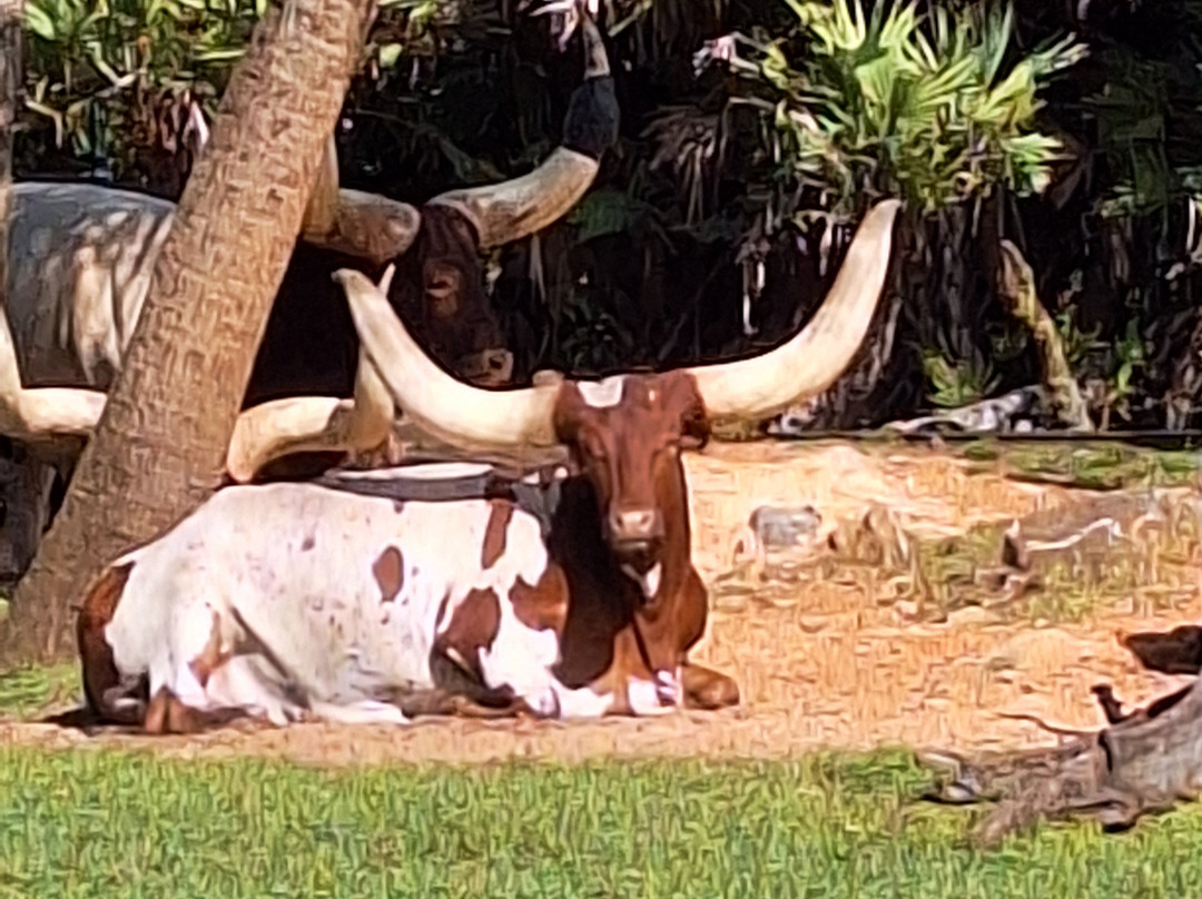 Brevard Zoo-墨尔本必去景点