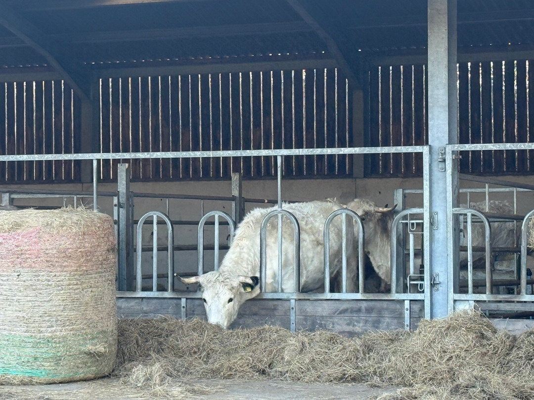 Newton House-兰代洛必去景点