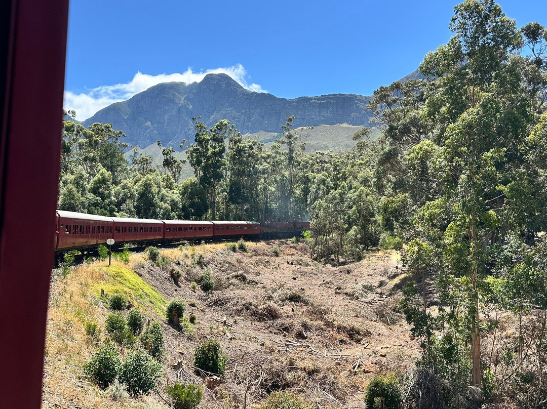 Elgin Railway Market-Elgin必去景点