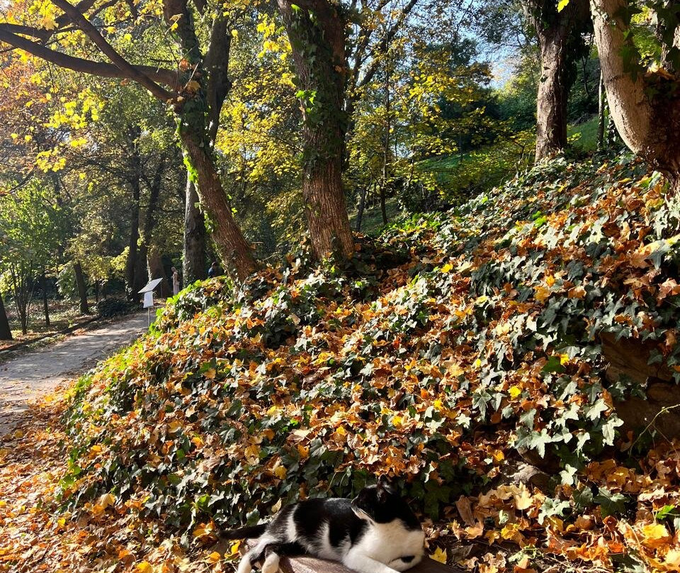 Georgian National Museum-第比利斯必去景点