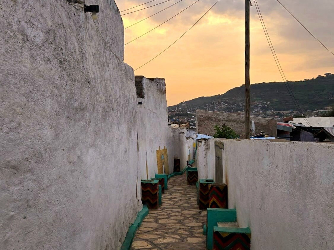 Edom Harar Tours & Car Rentals-哈勒尔必去景点