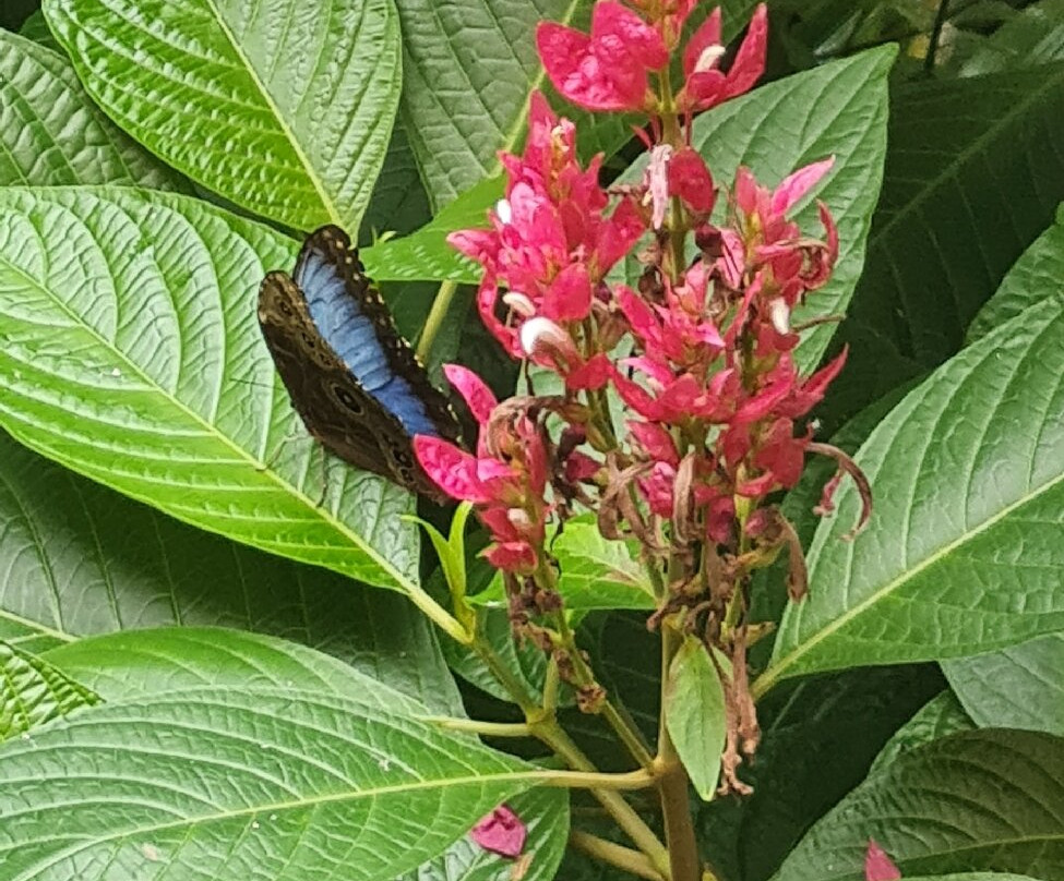 National Museum Of Costa Rica-圣何塞必去景点
