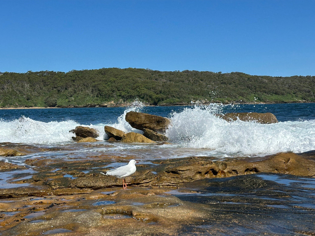 Bare island-La Perouse必去景点