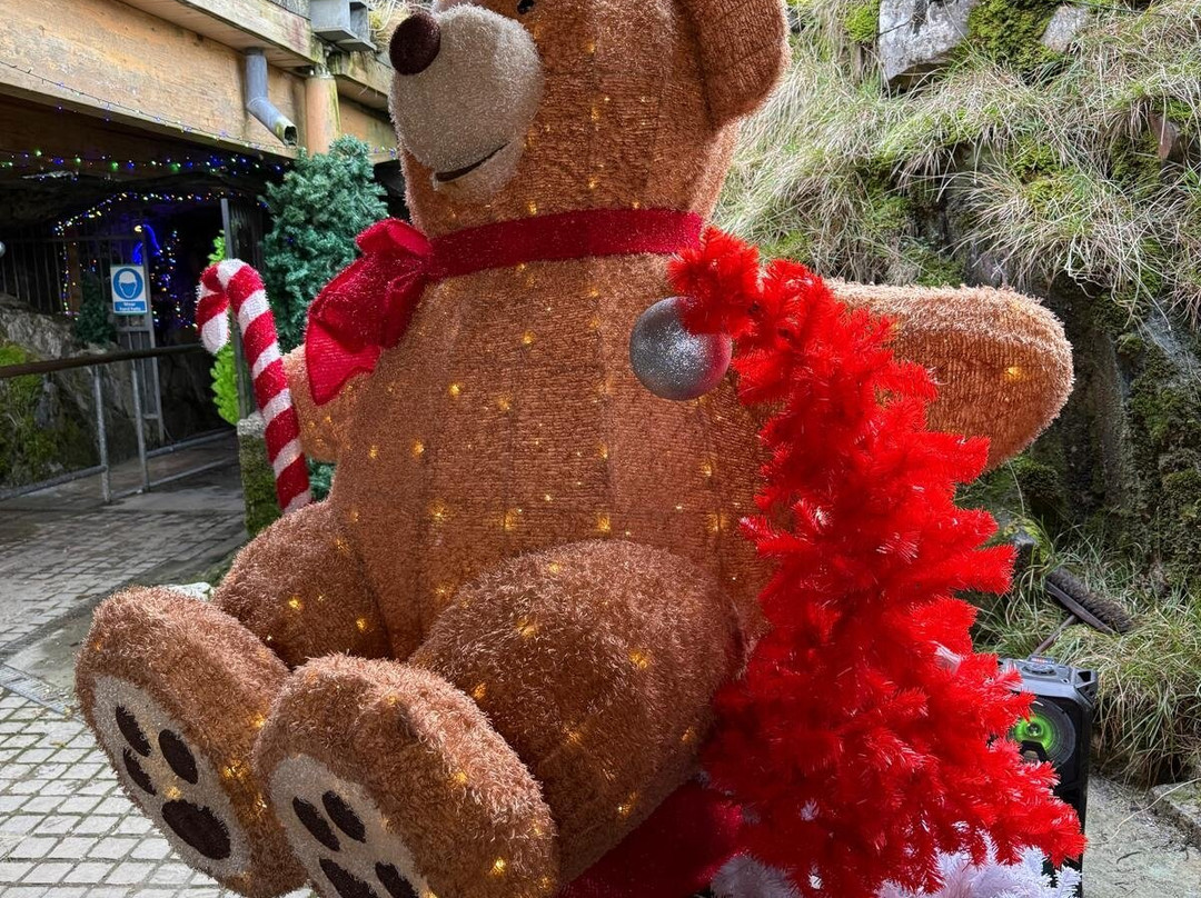 White Scar Cave-Ingleton必去景点