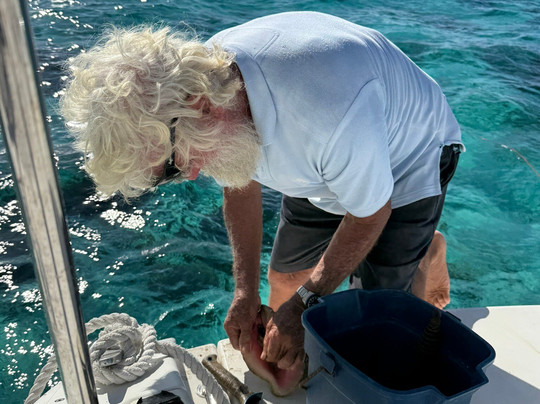 Sail With Friends Cayman-乔治城必去景点