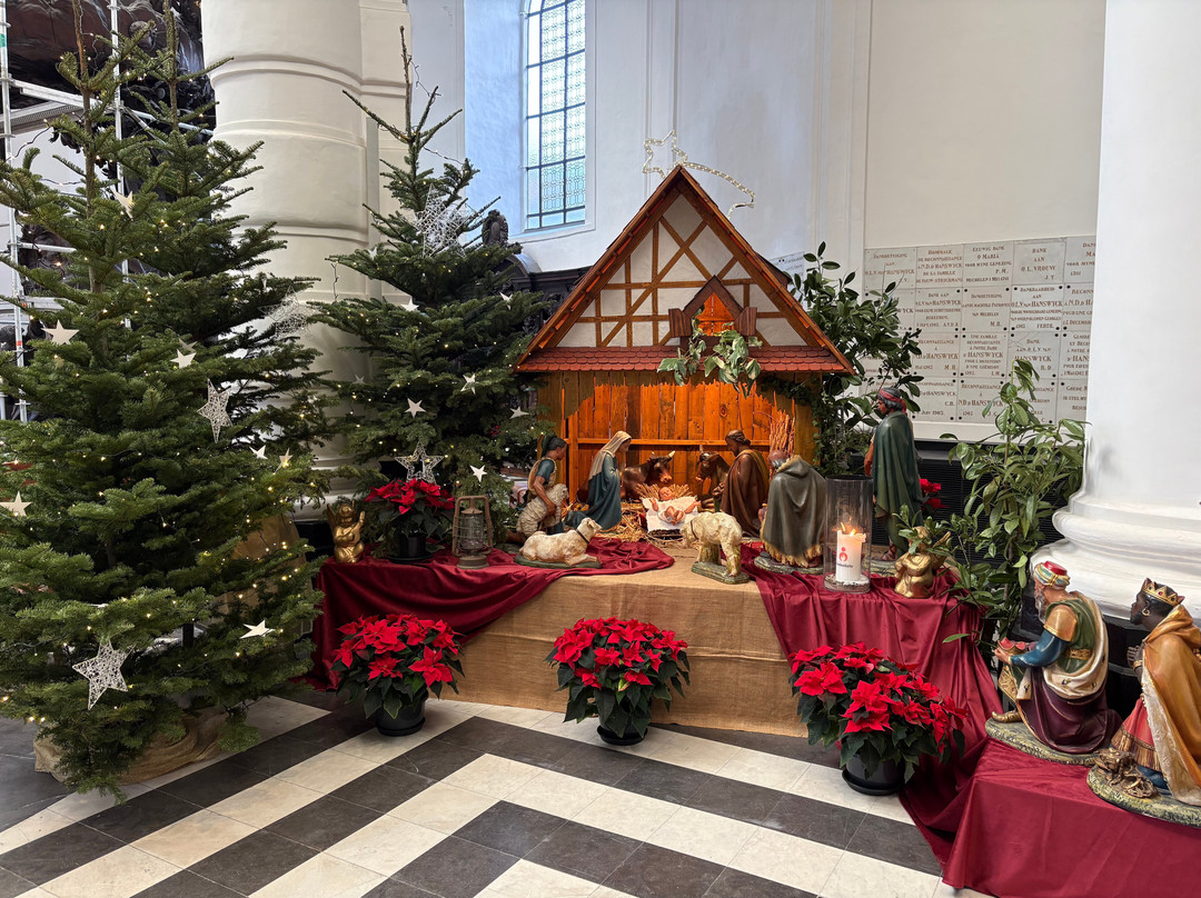 Onze-Lieve-Vrouw van Hanswijk-梅赫伦必去景点