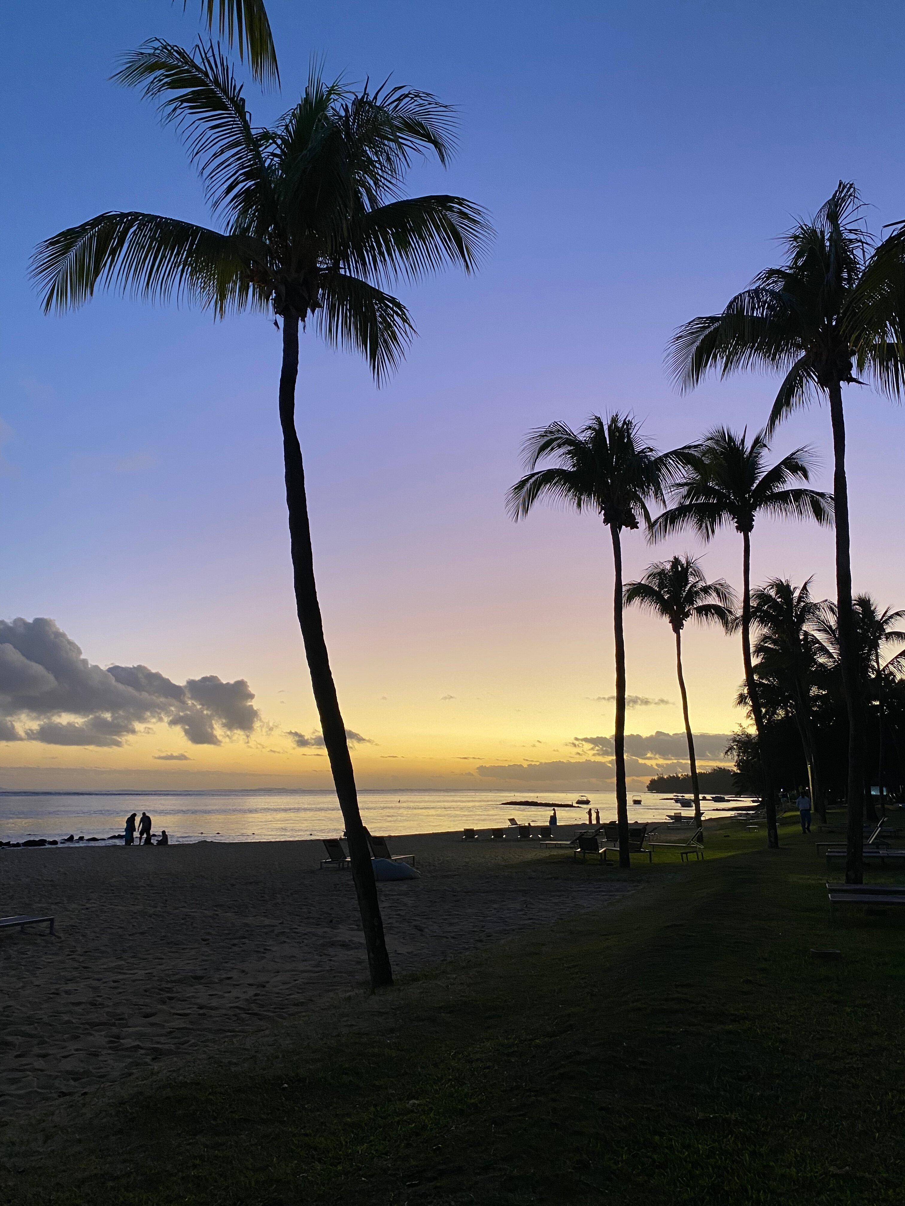 塔玛莎度假酒店-泳池