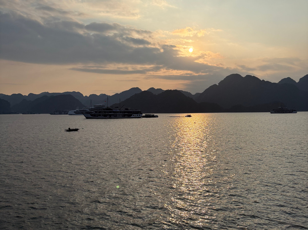 Orchid Cruises-下龙湾必去景点