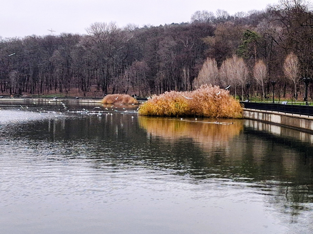 Valea Morilor-基希讷乌必去景点