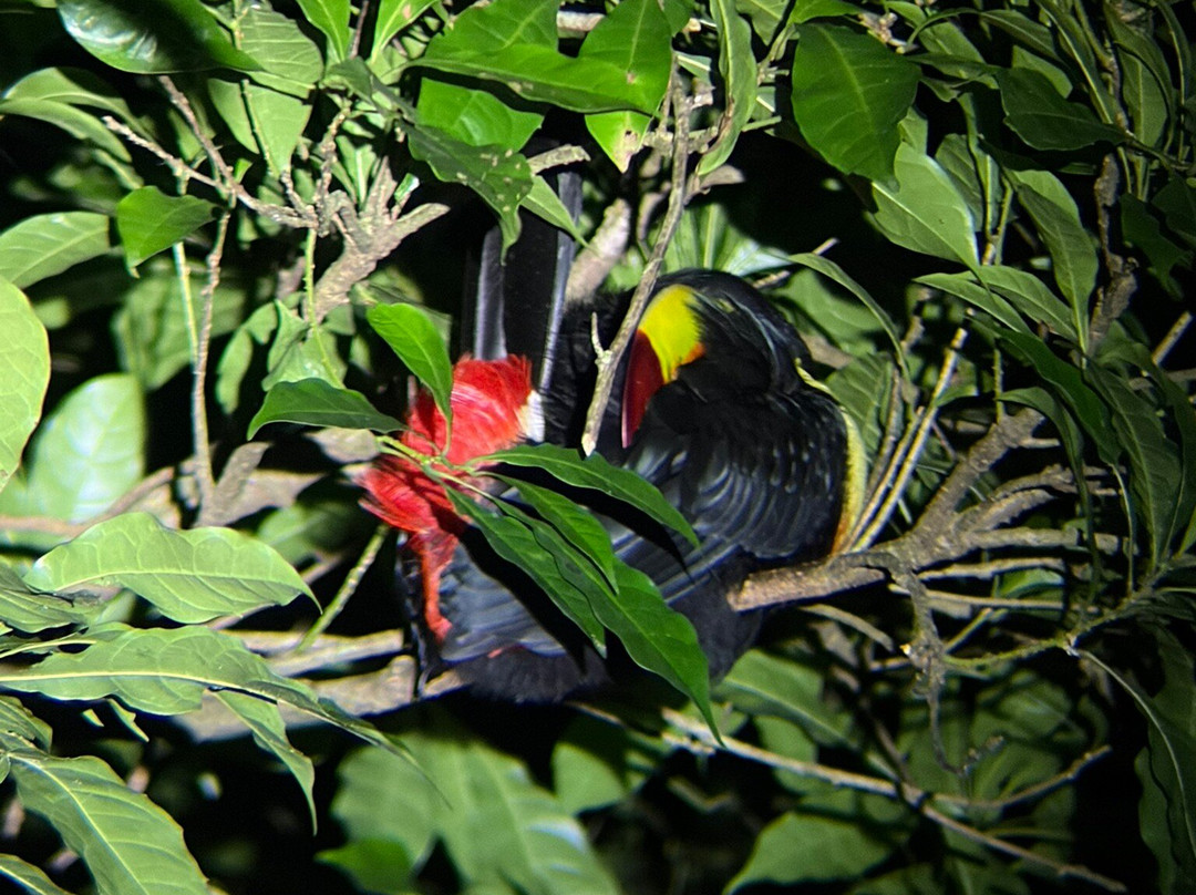 Monteverde Wildlife Refuge-圣埃伦娜必去景点