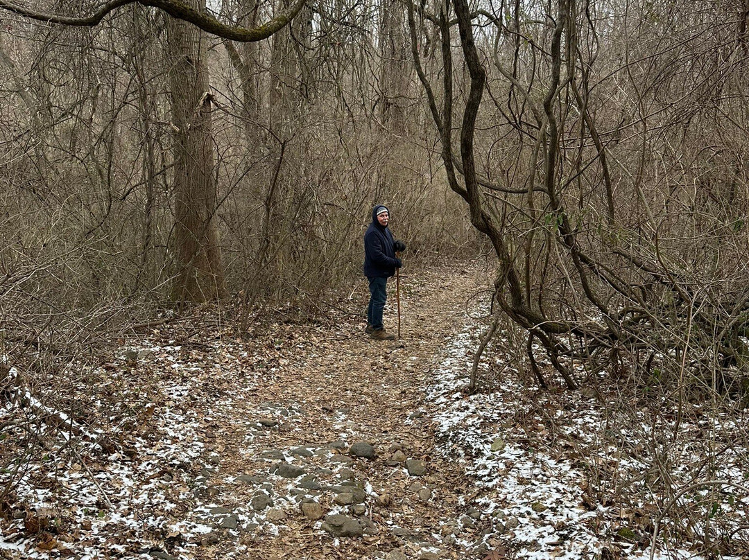 Brandywine Creek State Park-威尔明顿必去景点