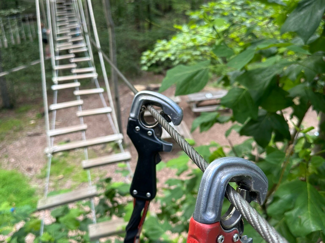 Boundless Adventures-Purchase必去景点