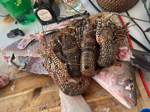 Island Vibes-迈阿密海滩必去景点