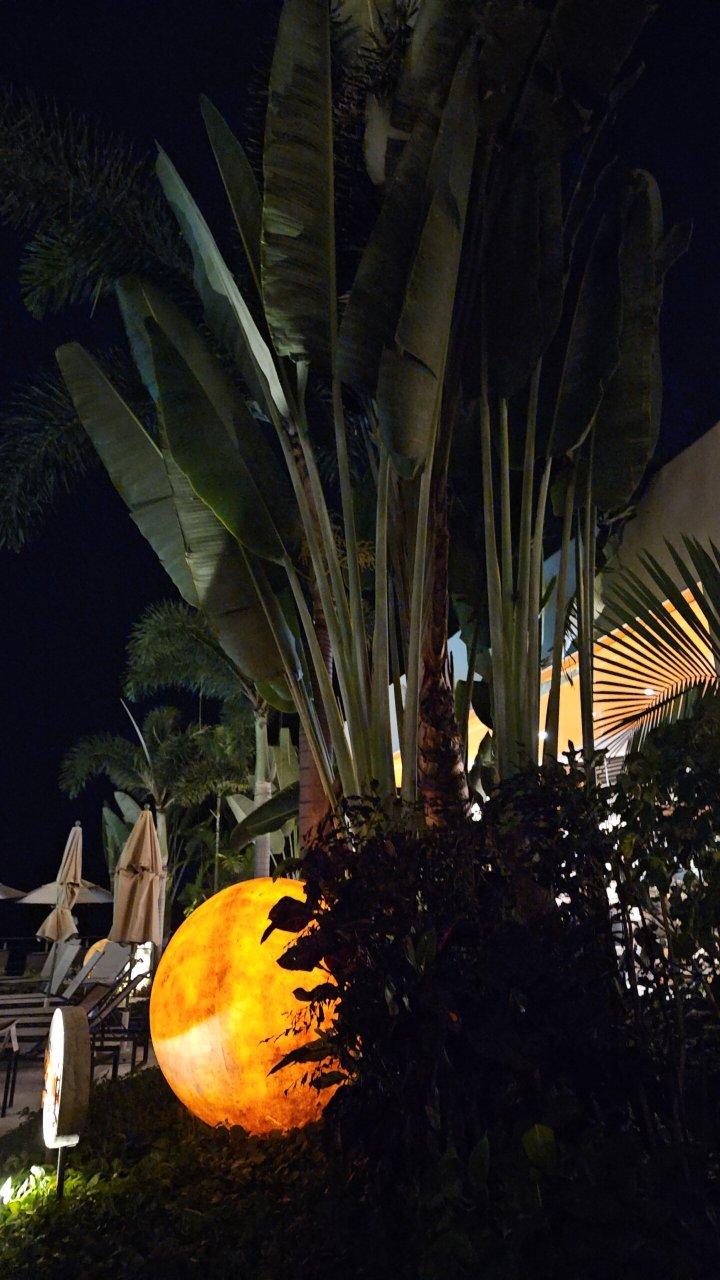 Grand Park Royal Puerto Vallarta-官方