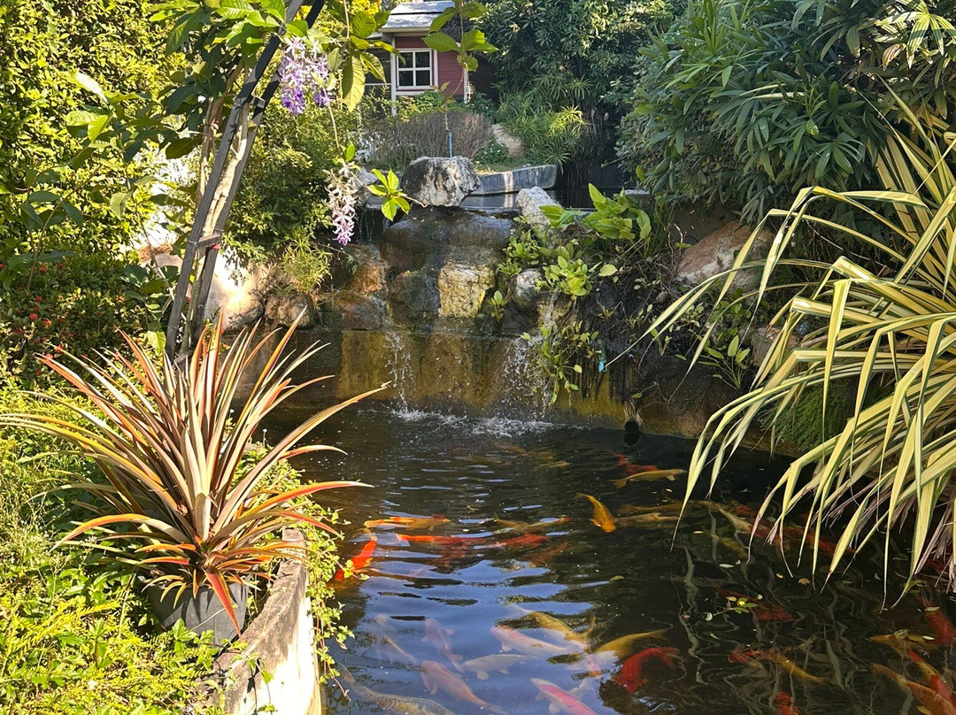 松涛谷钓鱼&木屋度假村主图