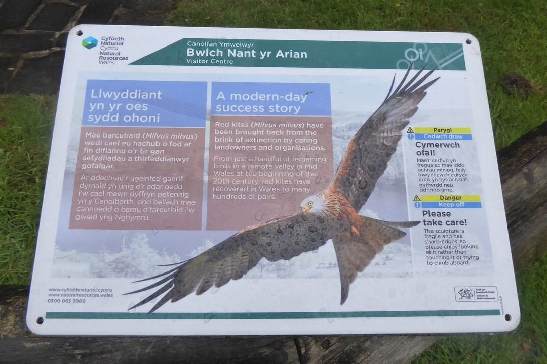 Bwlch Nant yr Arian Forest Visitor Centre-阿伯里斯特威斯必去景点