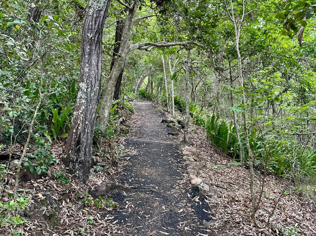 Bluff Point Walking Track-Yeppoon必去景点