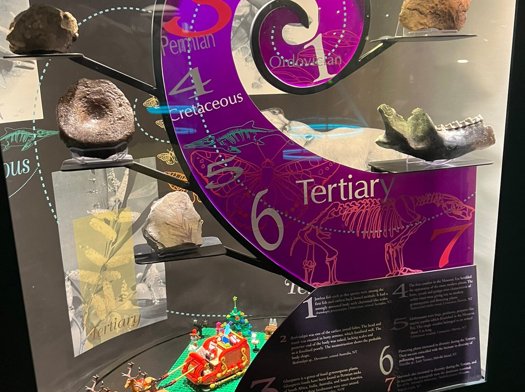 澳大利亚北部博物馆与美术馆-达尔文市必去景点