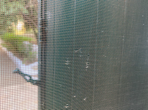 阿尔曲翁提克安杰卢酒店主图