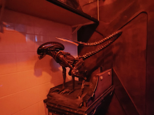 Museo Alien-巴塞罗那必去景点