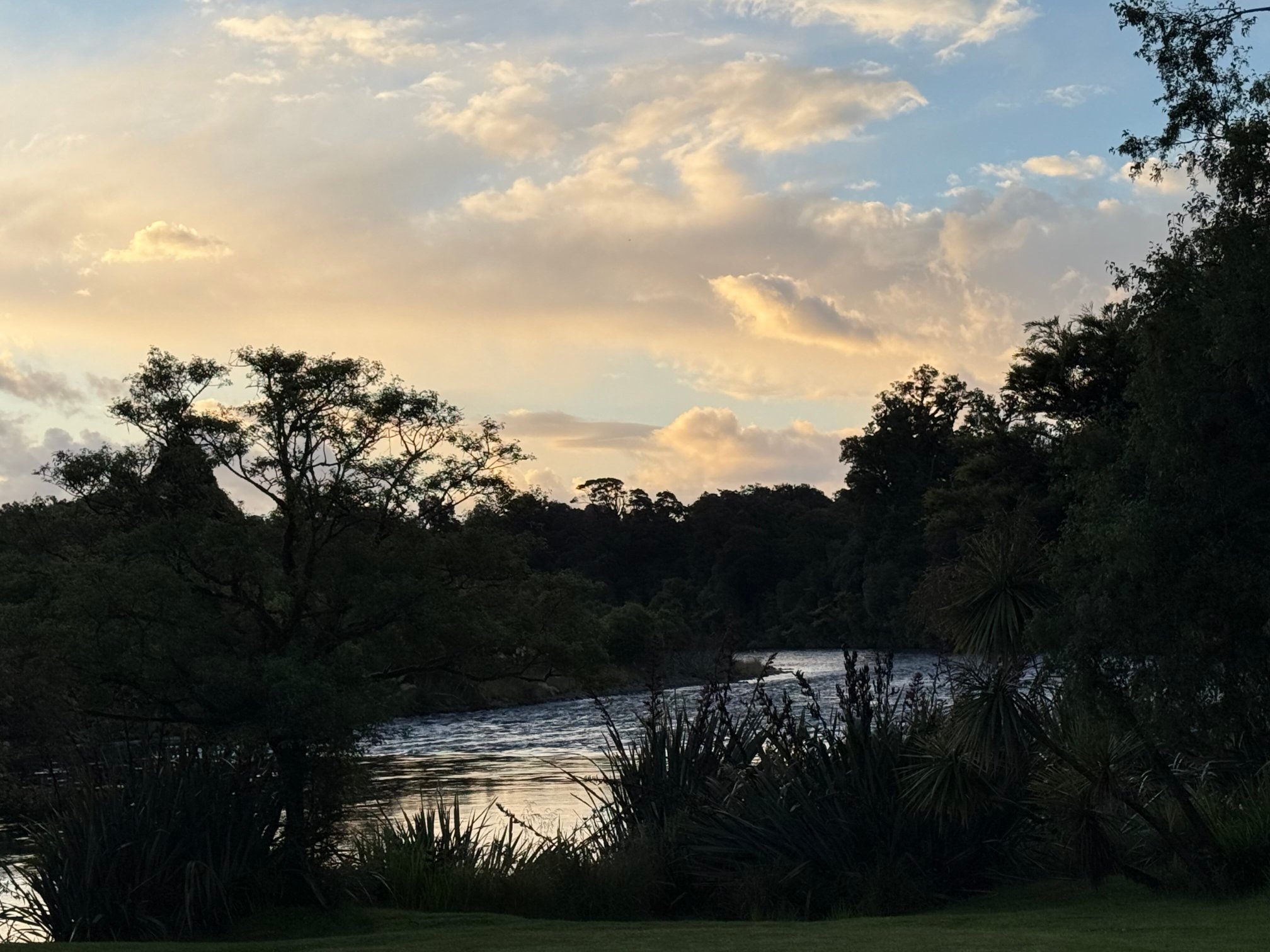 Wilderness Lodge Lake Moeraki-酒店景观