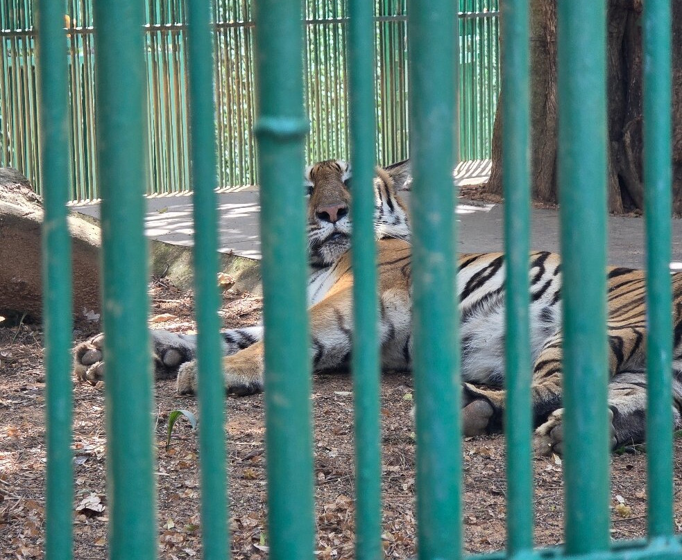Thiruvananthapuram Zoo-提卢湾安塔普兰（特里凡德伦）必去景点