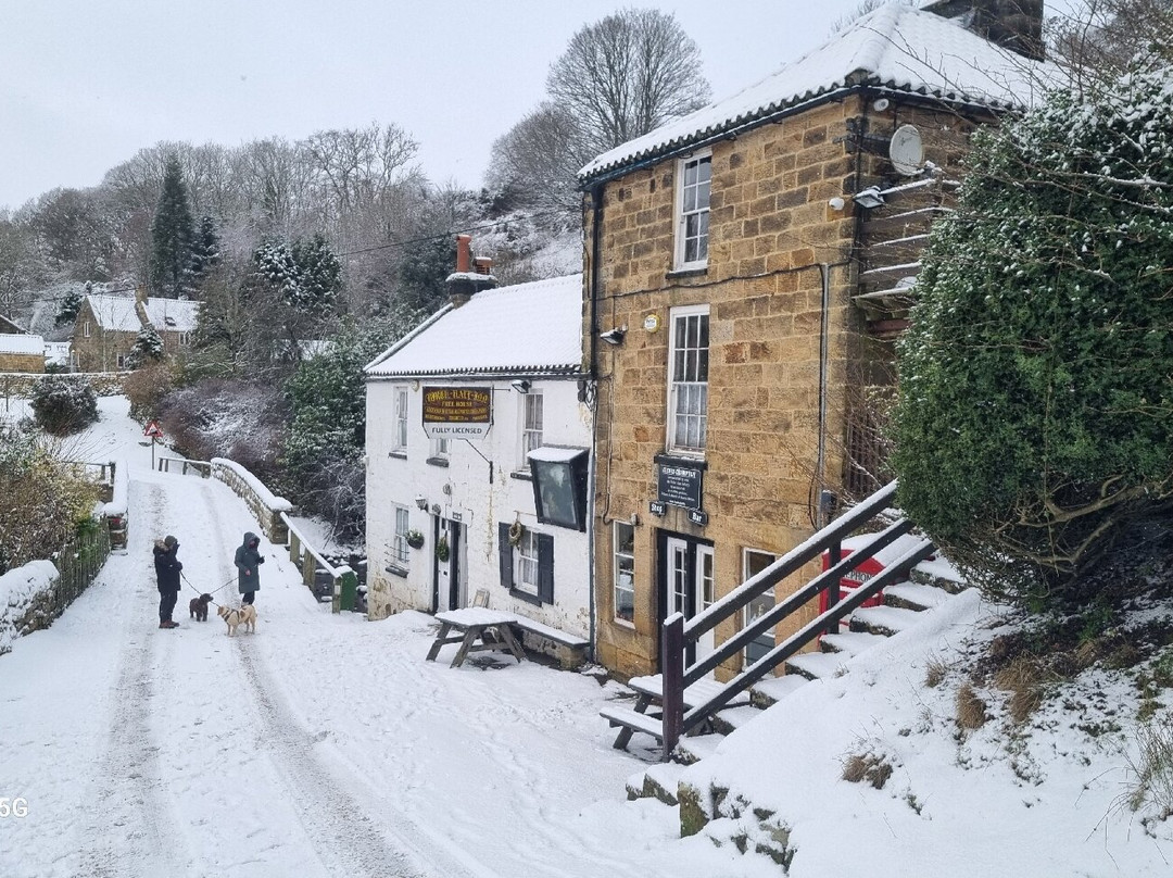 Cawthorne House主图