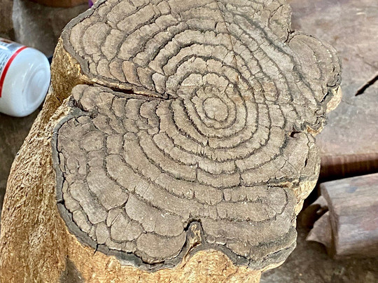 Karu Arts & Crafts-Naula必去景点