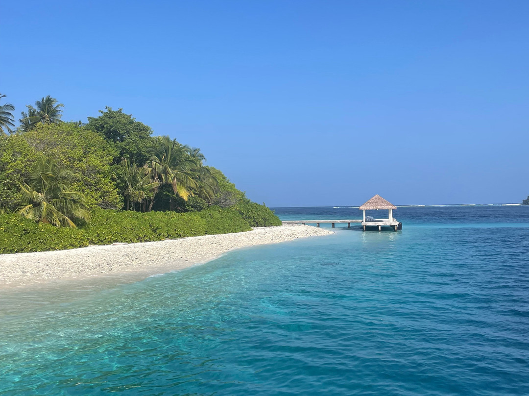 Into the Blue Lodge主图