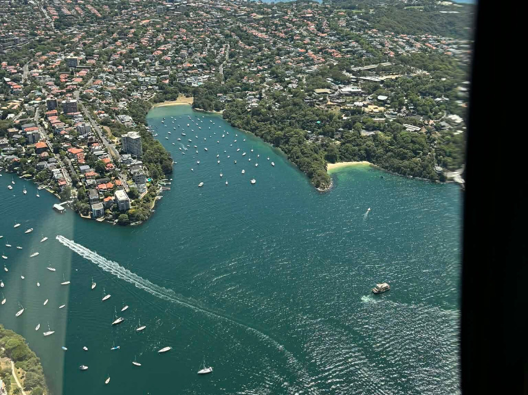 Sydney Harbour Specialists-Russell Lea必去景点