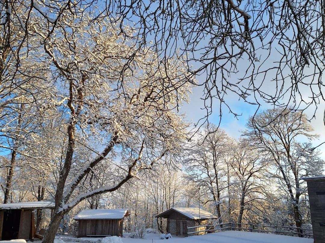 Burghotel Sterr主图