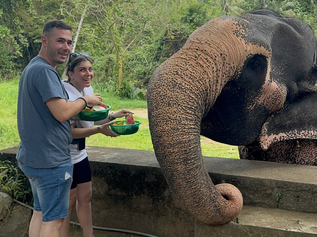 Exotic Island Tours - Private Driver Sri Lanka-Ganemulla必去景点