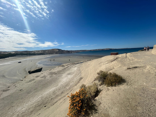 瓦尔德斯半岛-马德林港必去景点