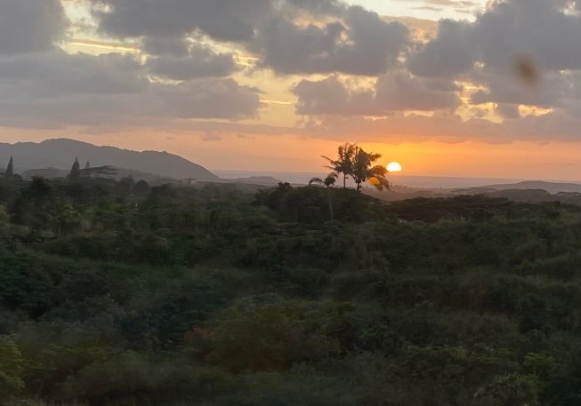 Kauai Banyan Inn-官方