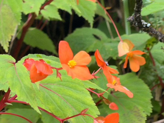 Kukummi Lodge (formerly Mackaya Bella Country Lodge)主图