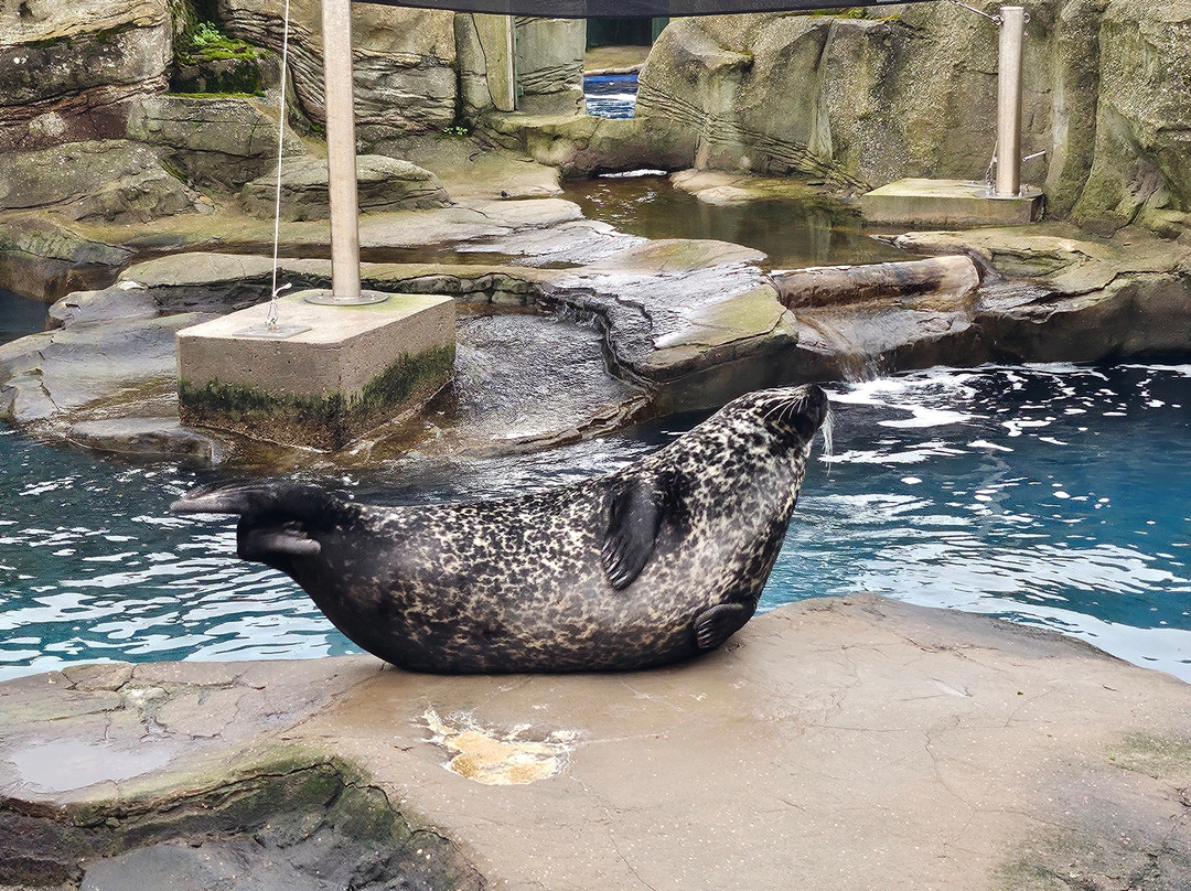 Sea Life Scarborough-斯卡伯勒必去景点