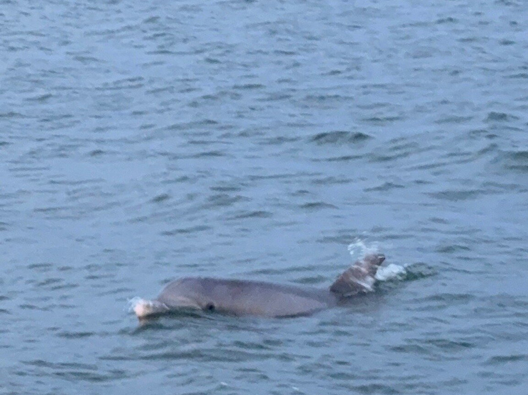 Environmental Learning Center-维罗海滩必去景点