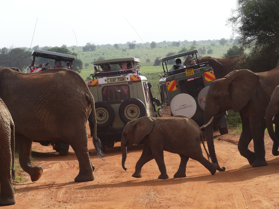 Abdull Safari Kenya-瓦塔木必去景点