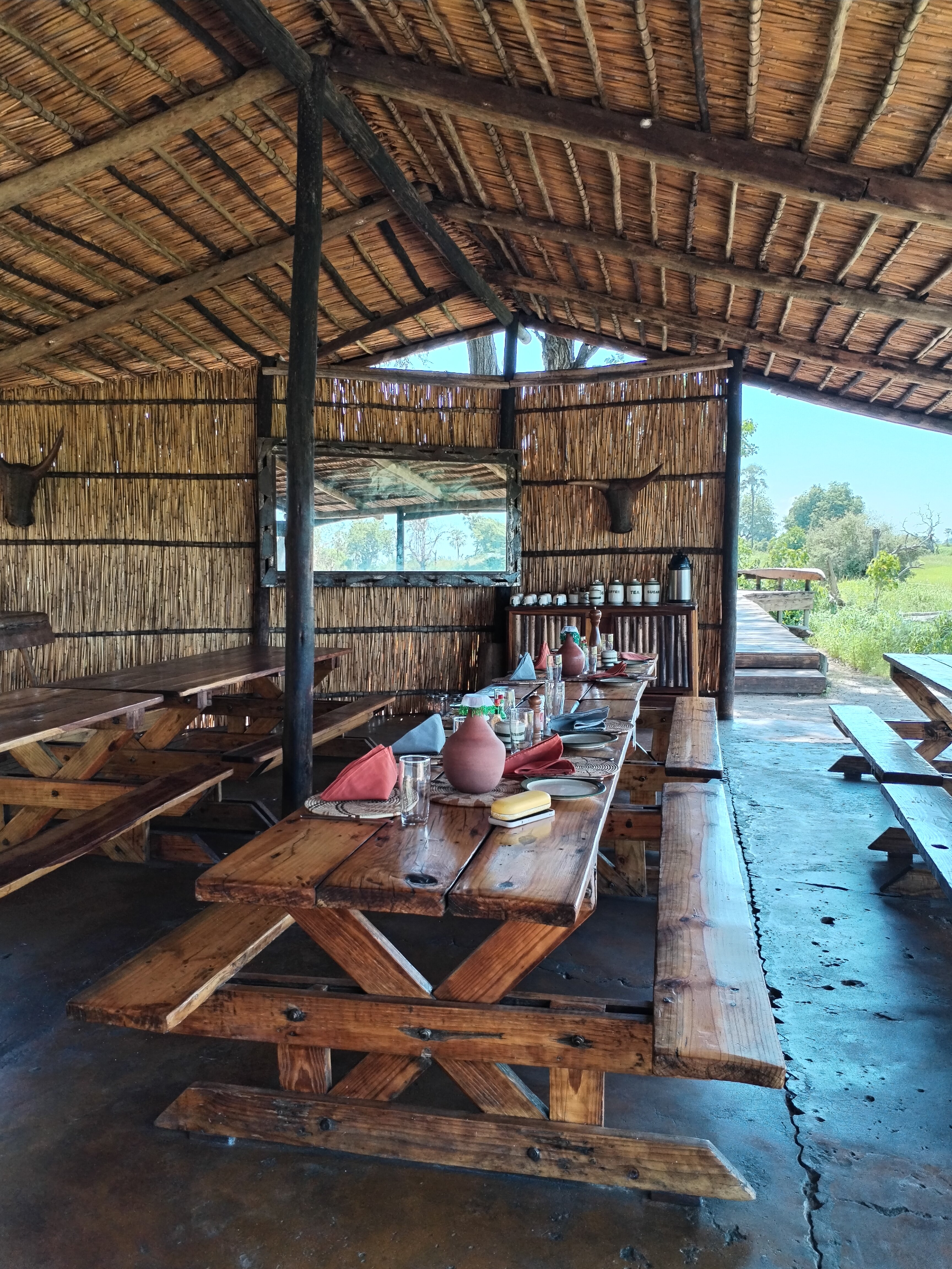 Oddballs' Camp-官方