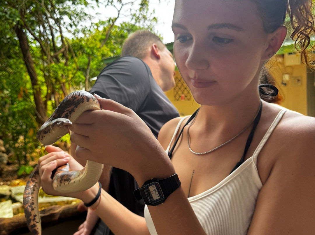 The Watamu Snake Farm-瓦塔木必去景点