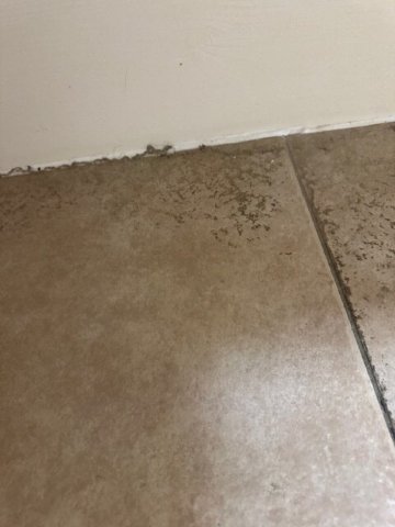 坦布里奇韦尔斯美居酒店-客卧