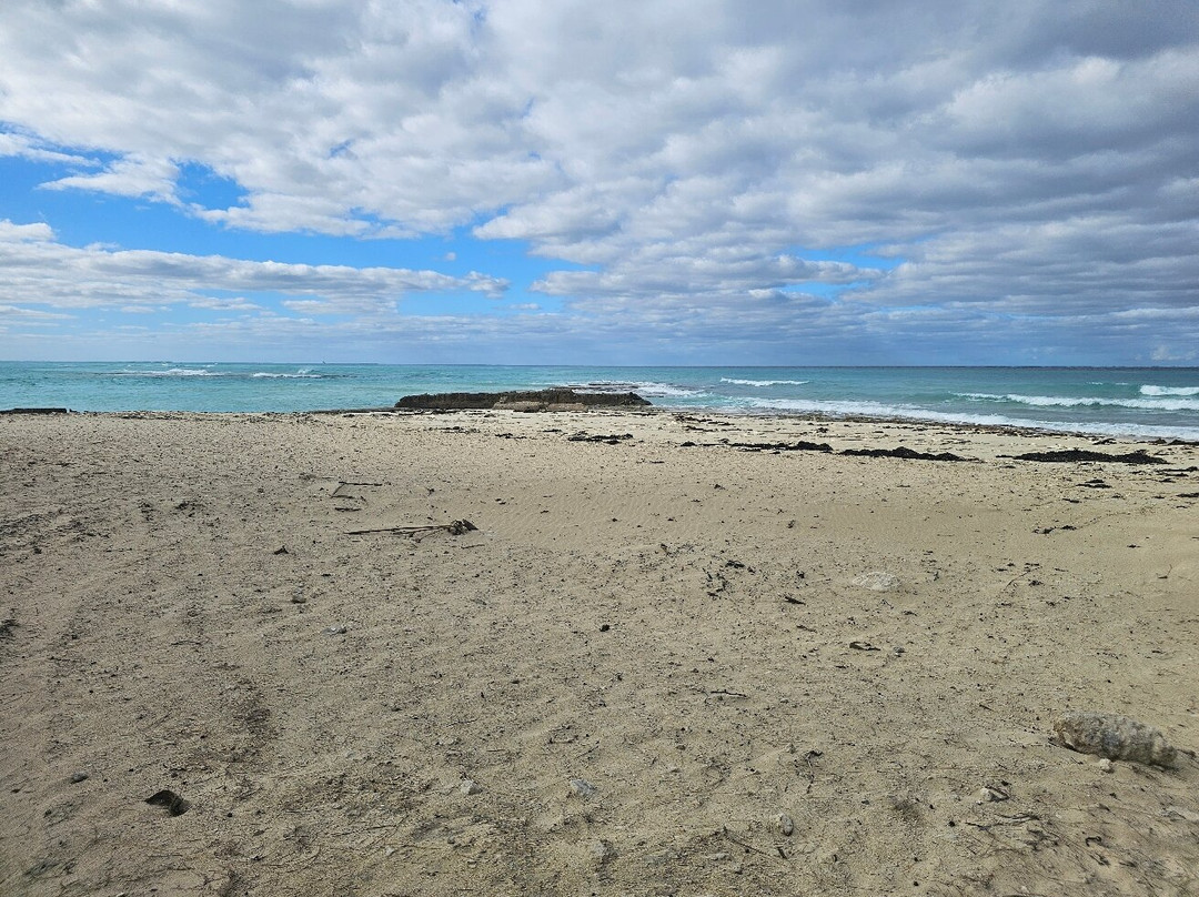 Radio Beach-Alice Town必去景点