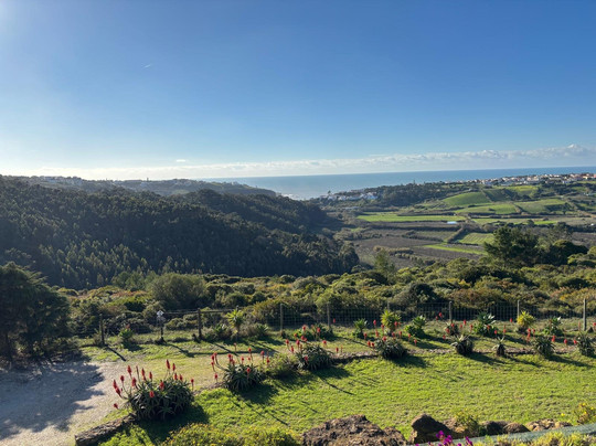 Quinta Dos Raposeiros主图